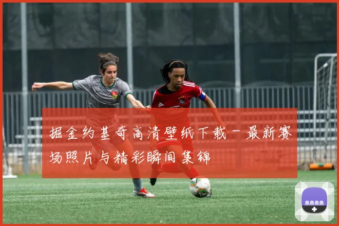 掘金约基奇高清壁纸下载 - 最新赛场照片与精彩瞬间集锦