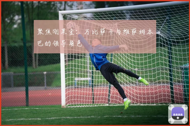 聚焦刚果金：万比萨卡与维萨姆本巴的领导角色