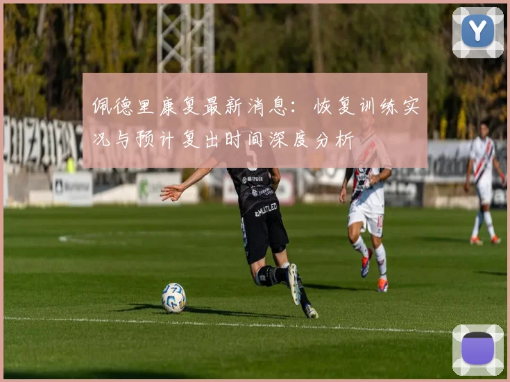 佩德里康复最新消息:恢复训练实况与预计复出时间深度分析